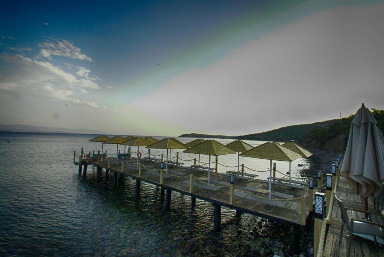 Assos Dionysos Special Class Hotel Adults Only 12 Years Eksteriør billede