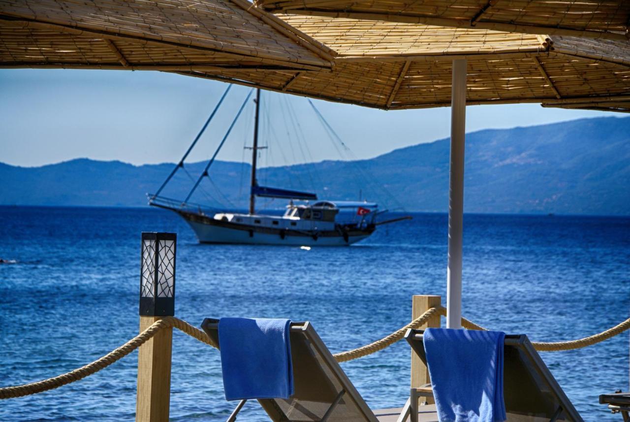 Assos Dionysos Special Class Hotel Adults Only 12 Years Eksteriør billede