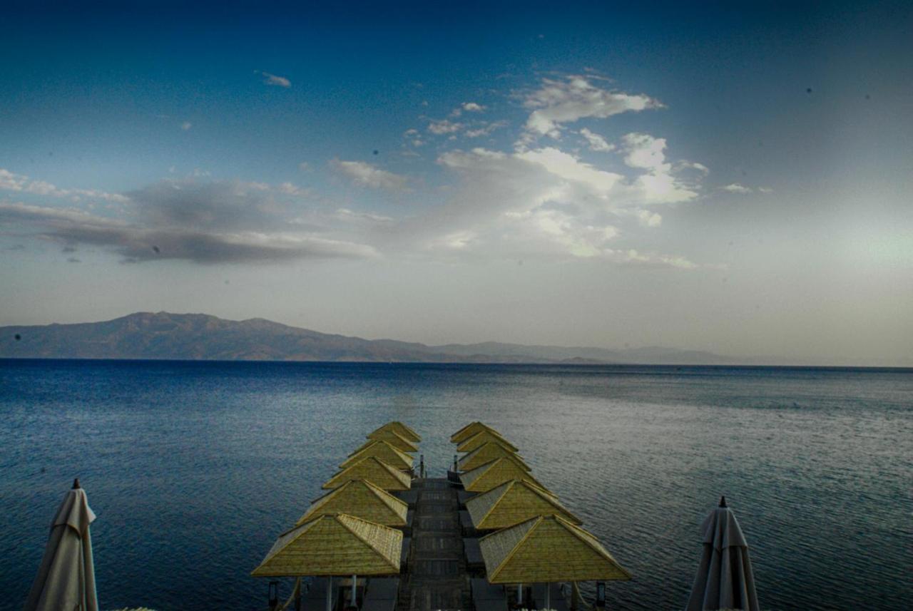 Assos Dionysos Special Class Hotel Adults Only 12 Years Eksteriør billede