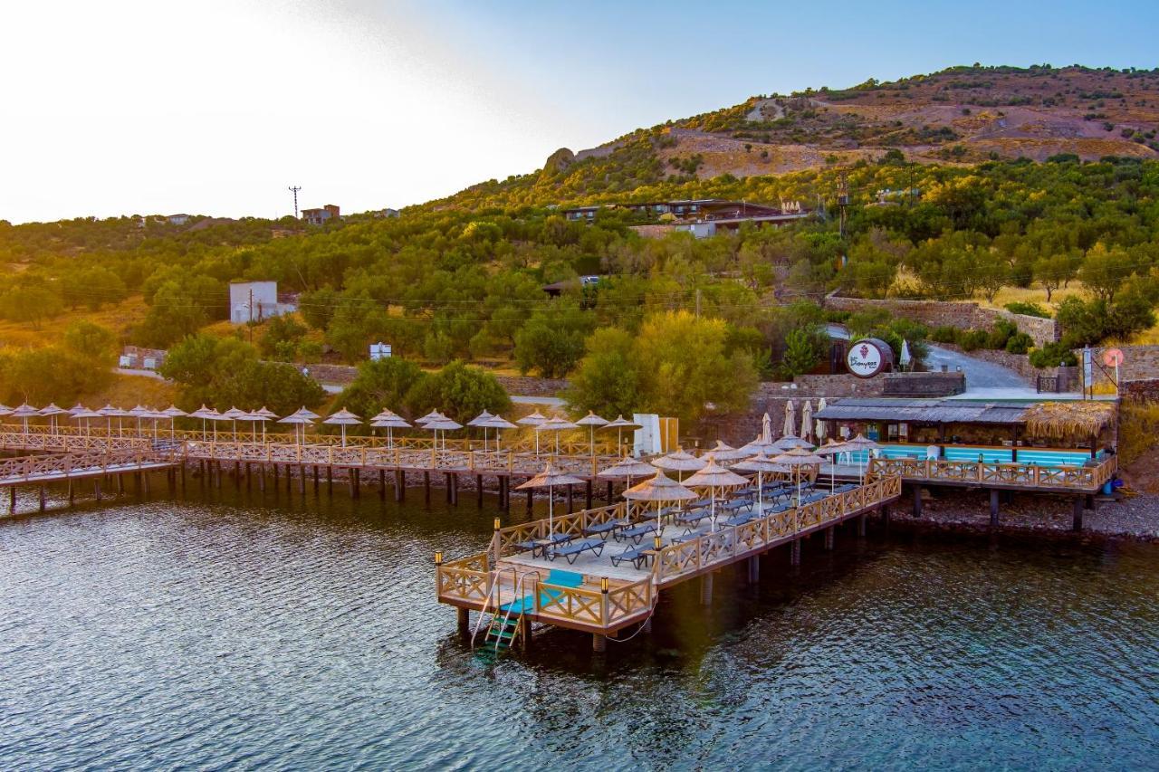 Assos Dionysos Special Class Hotel Adults Only 12 Years Eksteriør billede