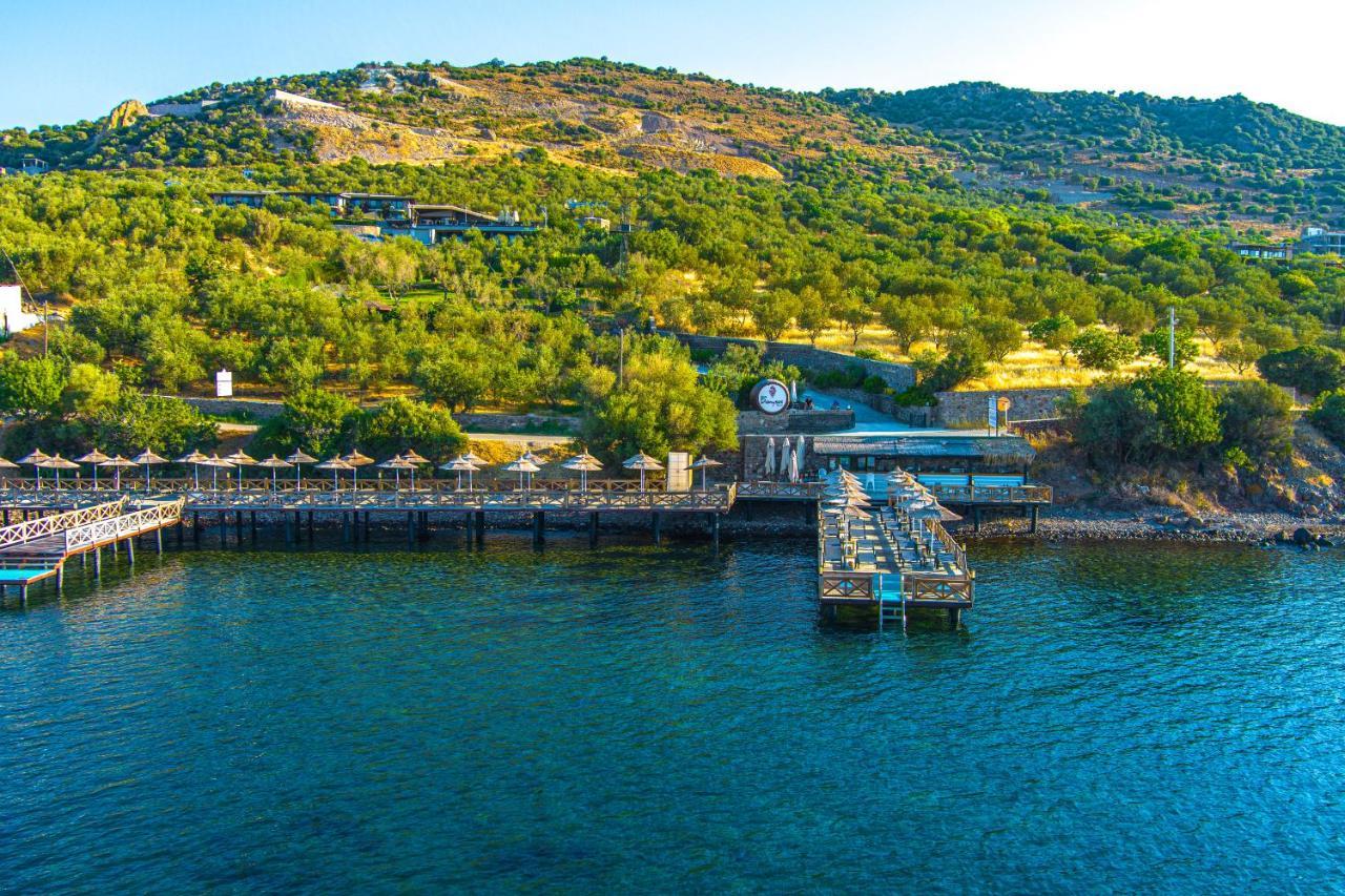 Assos Dionysos Special Class Hotel Adults Only 12 Years Eksteriør billede