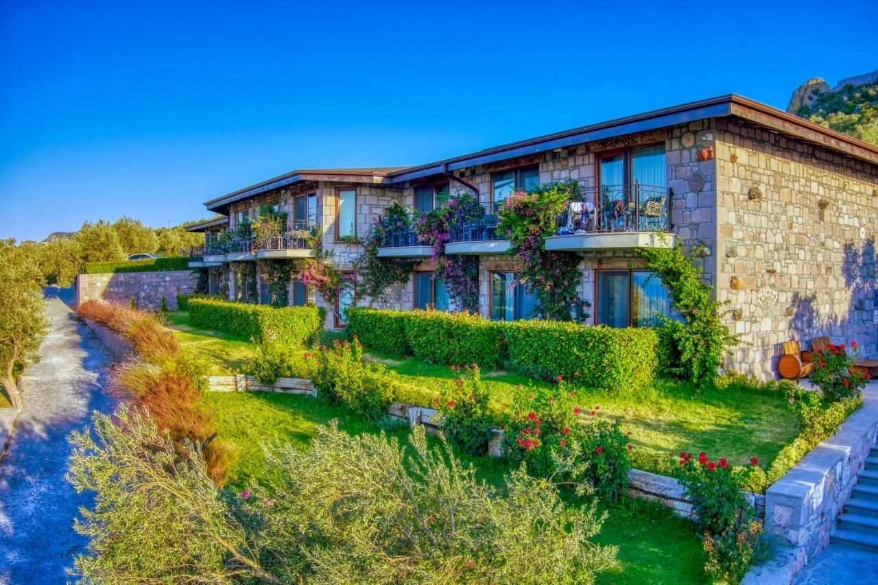 Assos Dionysos Special Class Hotel Adults Only 12 Years Eksteriør billede