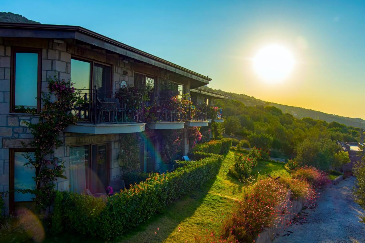 Assos Dionysos Special Class Hotel Adults Only 12 Years Eksteriør billede