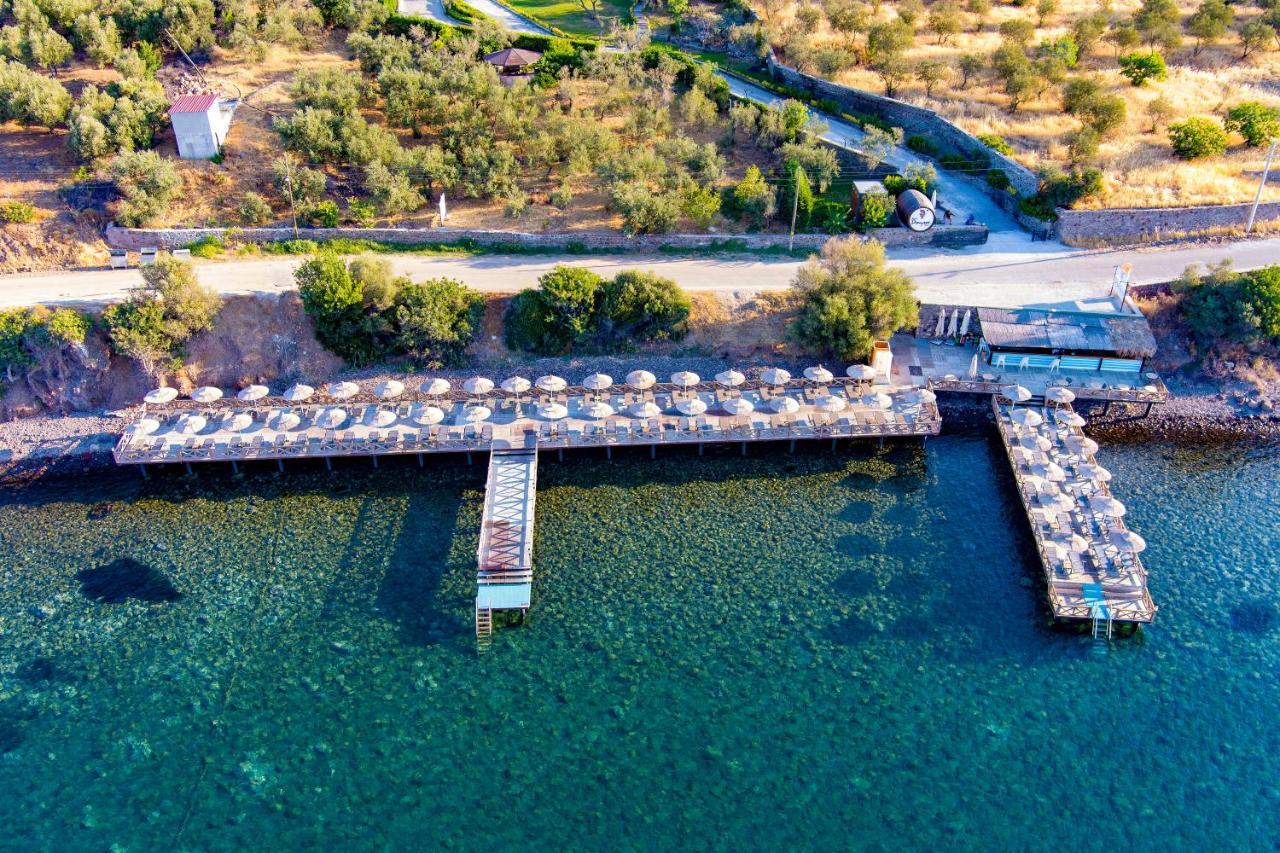 Assos Dionysos Special Class Hotel Adults Only 12 Years Eksteriør billede